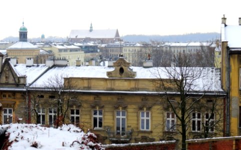 Wawel 31