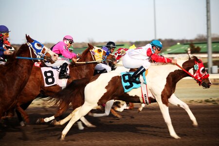 Horse race jockey race photo