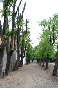 Zámecká zahrada in Vyškov094