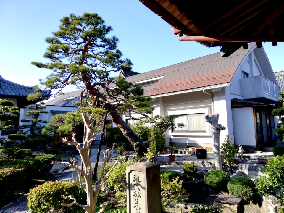 Zōchōsan Shōju-in Raikō-ji Temple 20210407 03