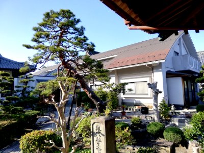 Zōchōsan Shōju-in Raikō-ji Temple 20210407 03