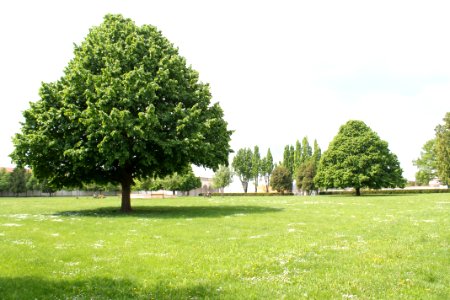 Zámecká zahrada in Vyškov092