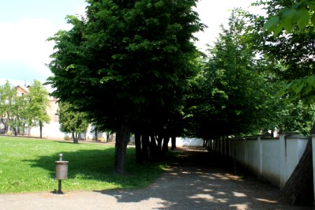 Zámecká zahrada in Vyškov147