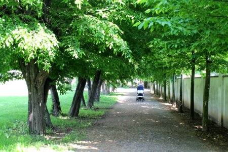 Zámecká zahrada in Vyškov156