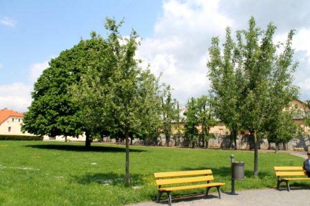 Zámecká zahrada in Vyškov139
