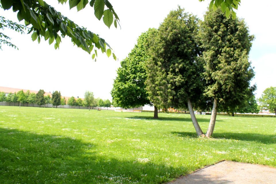 Zámecká zahrada in Vyškov090