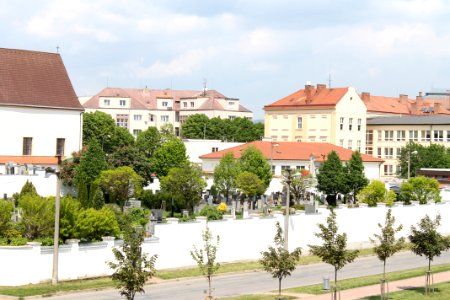 Zámecká zahrada in Vyškov129