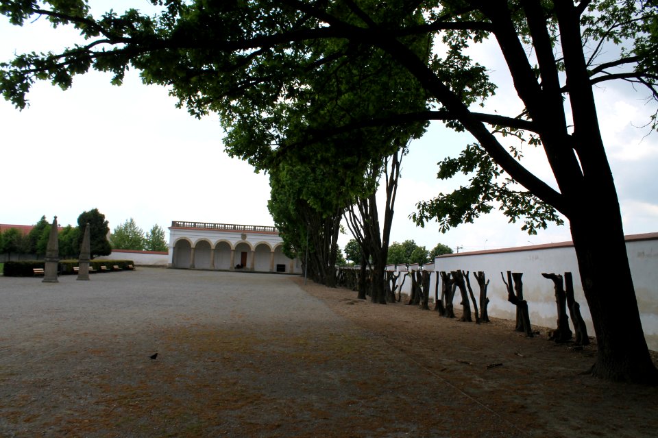 Zámecká zahrada in Vyškov106