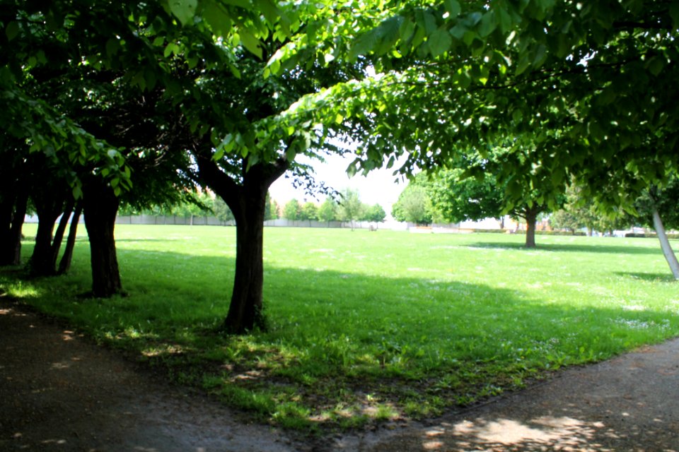 Zámecká zahrada in Vyškov086