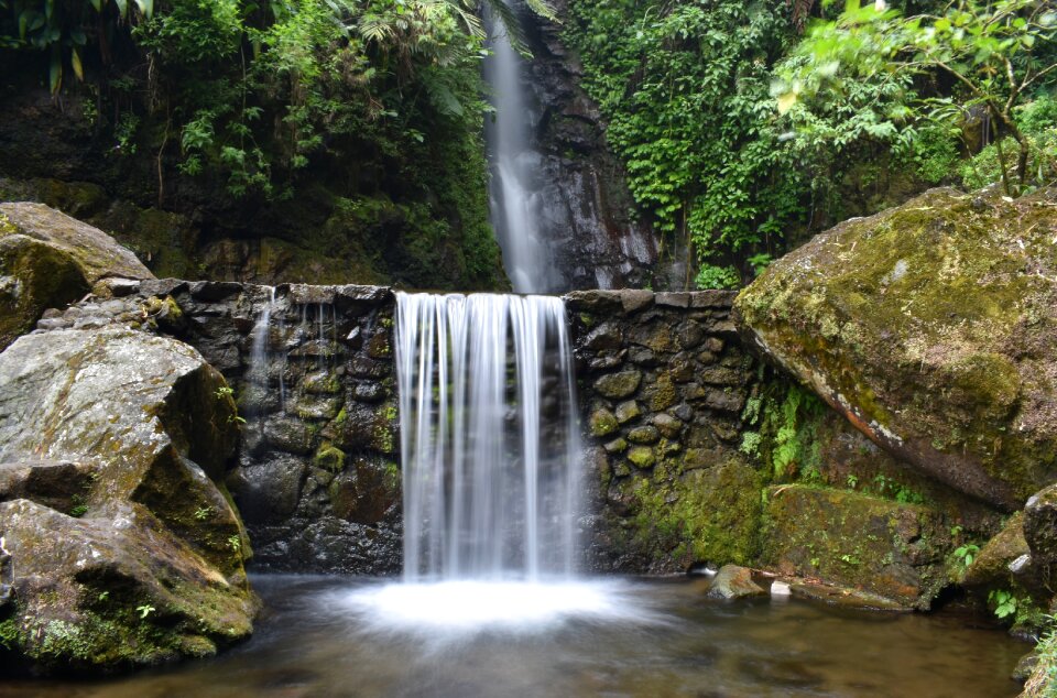 Landscape stream outdoor