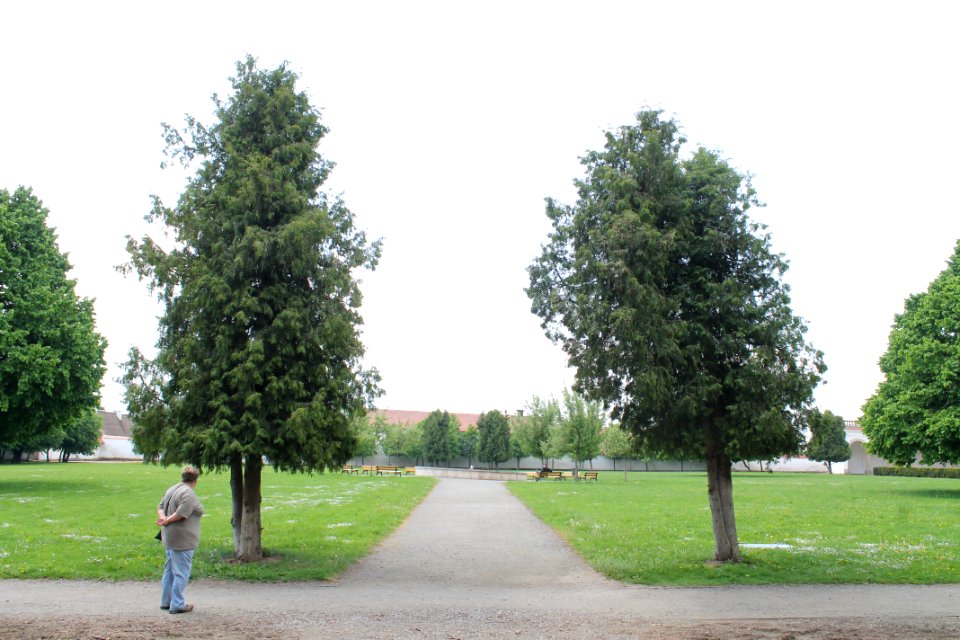 Zámecká zahrada in Vyškov093