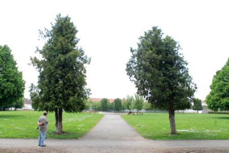 Zámecká zahrada in Vyškov093