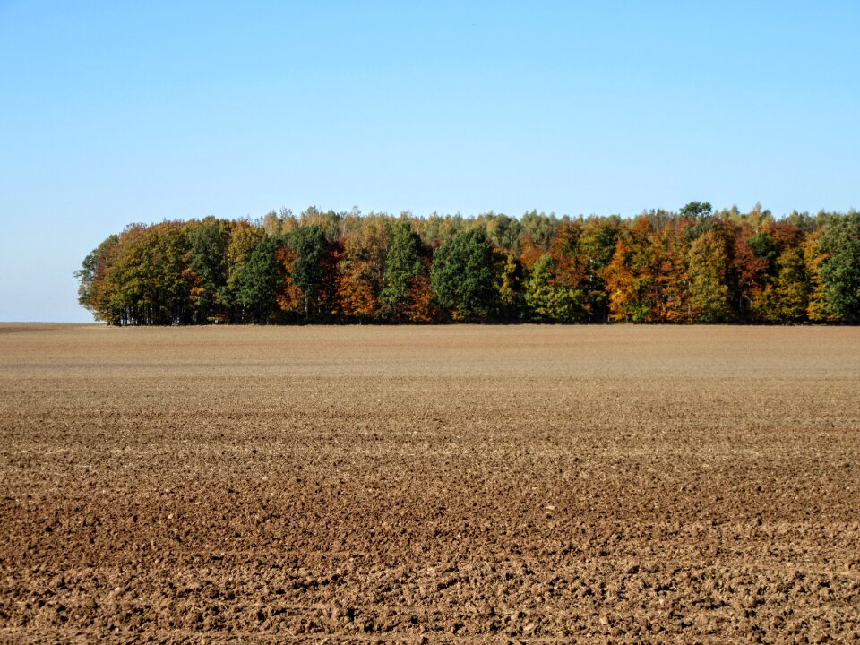 Autumn nature sky
