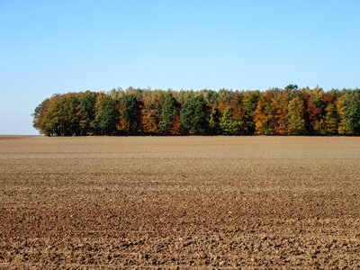 Autumn nature sky photo