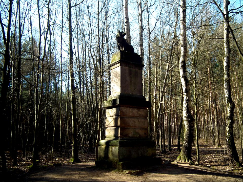 Wolfssaeule friedewald gesamt sk