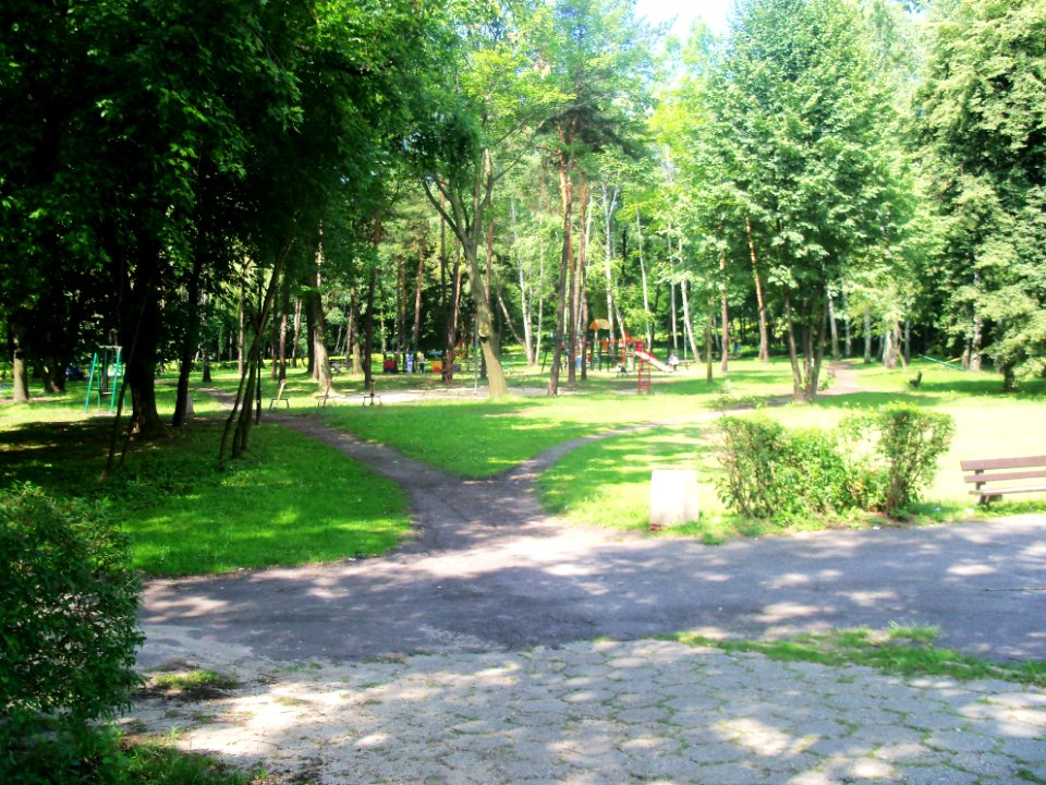 Wojkowice Park (2)