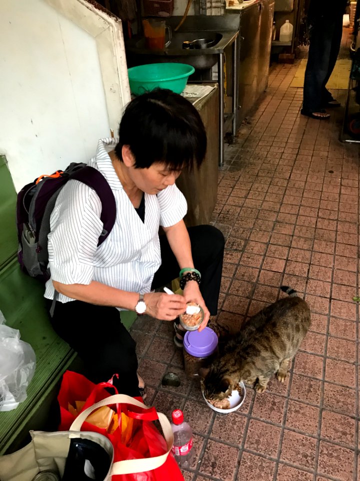 Woman Feeding Cat in Market 20170503