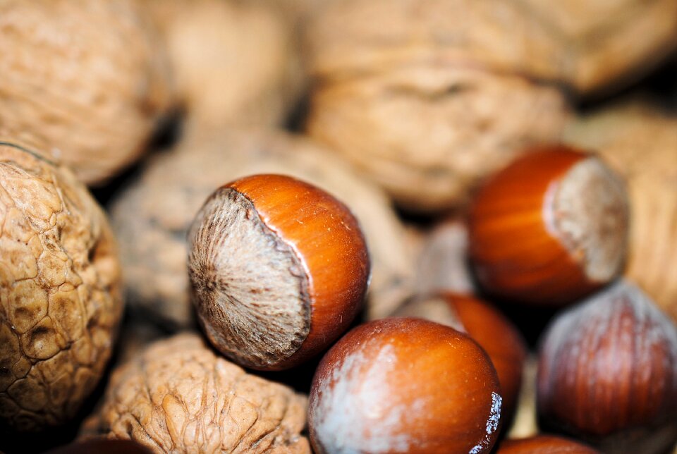 Food decoration walnuts