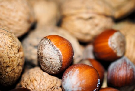 Food decoration walnuts