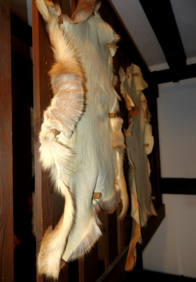 Westfälisches Freilicht-Museum, Abteilung Kürschner, 1. Juli 2021 (07)