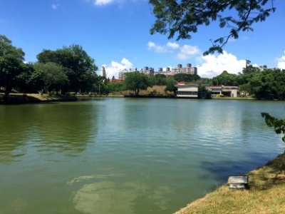 Whampoa Lake North Shore 20160604ip