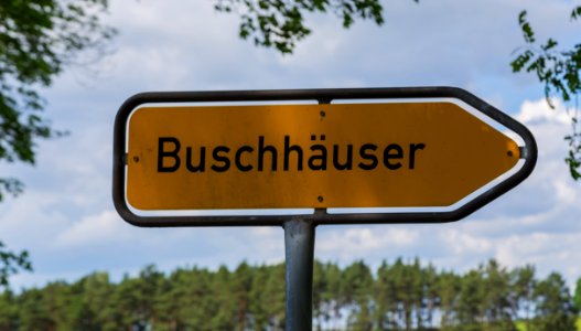 Wiese Buschhaeuser 02