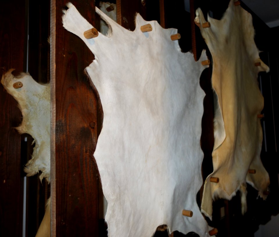 Westfälisches Freilicht-Museum, Abteilung Kürschner, 1. Juli 2021 (05)