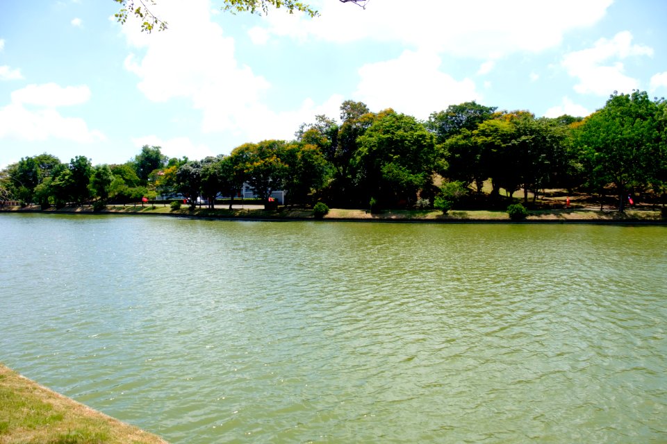 Whampoa Lake West Shore 20160604a