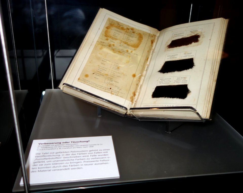Westfälisches Freilicht-Museum, Ausstellung Faszination Farbe, 2021 (02)