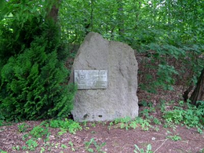 Weißkollm 2017-05-25 01