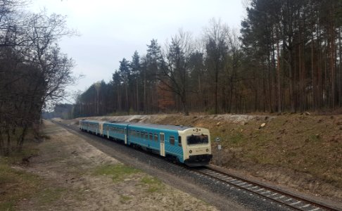 Witoszyn tourist train
