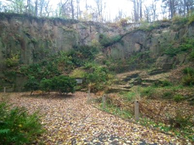 Wilhelm Ostwald Park (24)