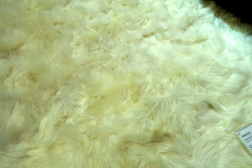 Weich Couture Alpaca, Düsseldorf, December 2020 (06)