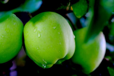 Drip wet raindrop