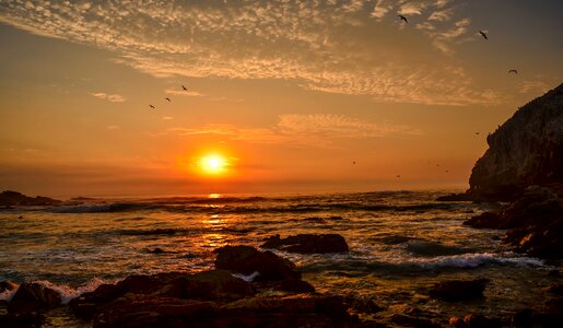 Algarrobo peace brown peace photo