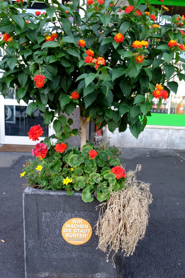 Worringer Platz, Düsseldorf, 19. August 2020 (062)
