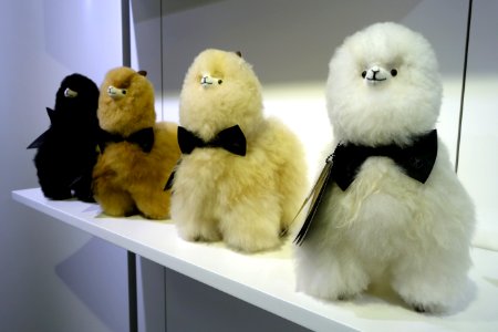 Weich Couture Alpaca, Düsseldorf, December 2020 (09)