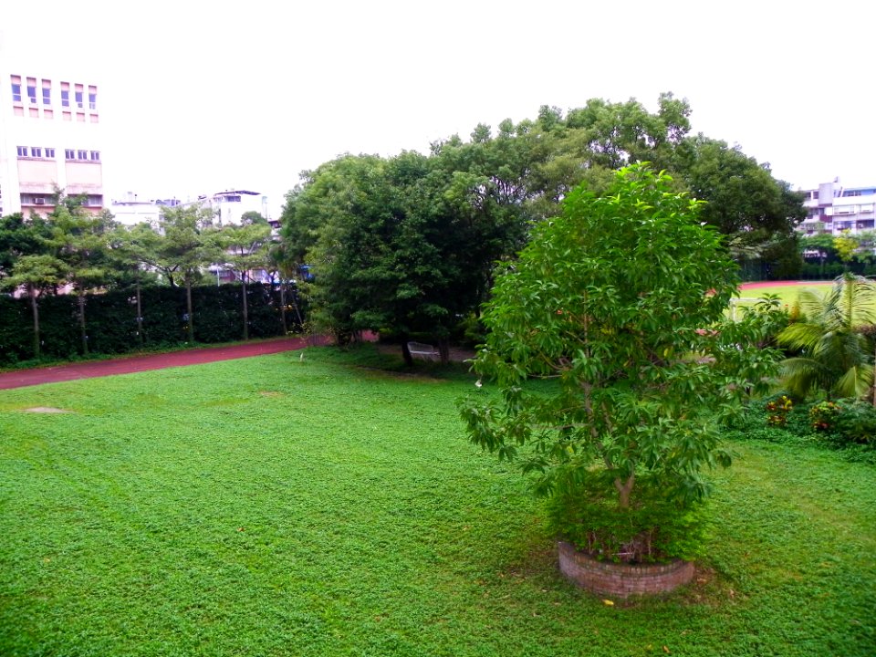 Wuchang Junior High School Garden 20100101a