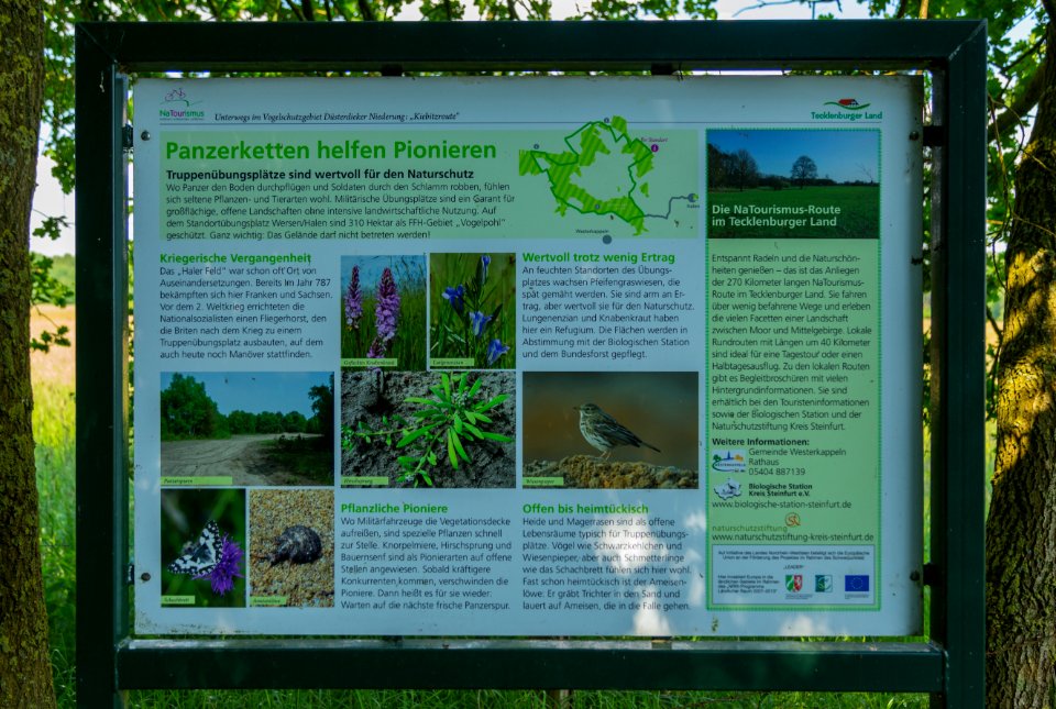 Westerkappeln Naturschutzgebiet Haler Feld Vogelpohl Informationstafel 01
