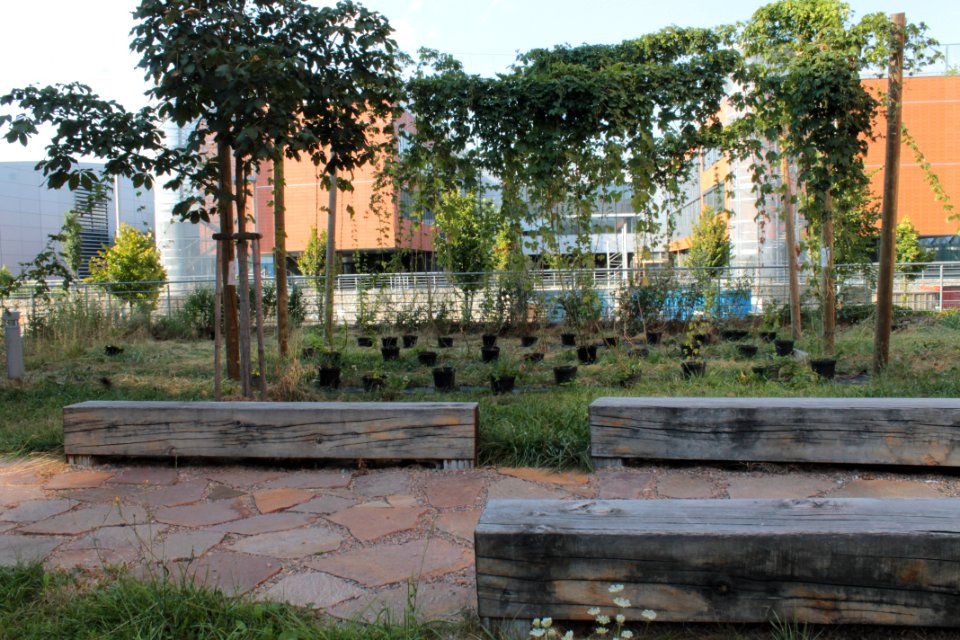 2013Masaryk University Campus20718