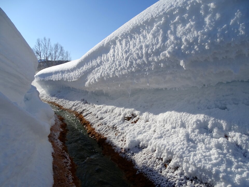 Winter pairs nalychevo valley photo