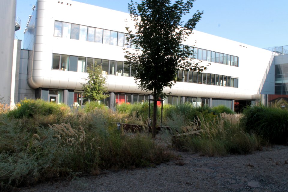 2013Masaryk University Campus20692