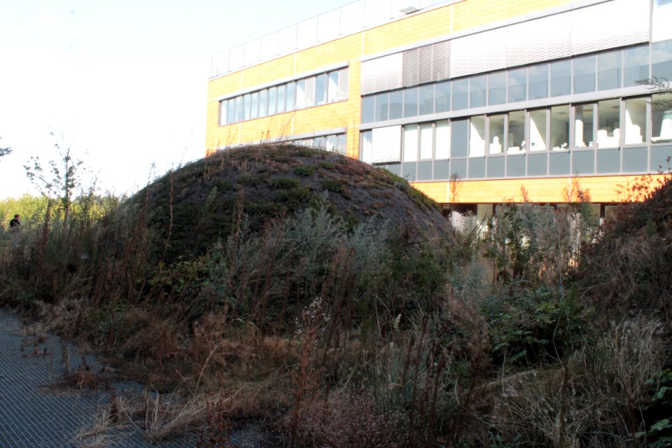 2013Masaryk University Campusy 20570