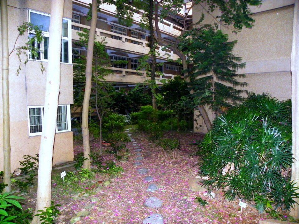Wuchang Junior High School Garden 20100101b