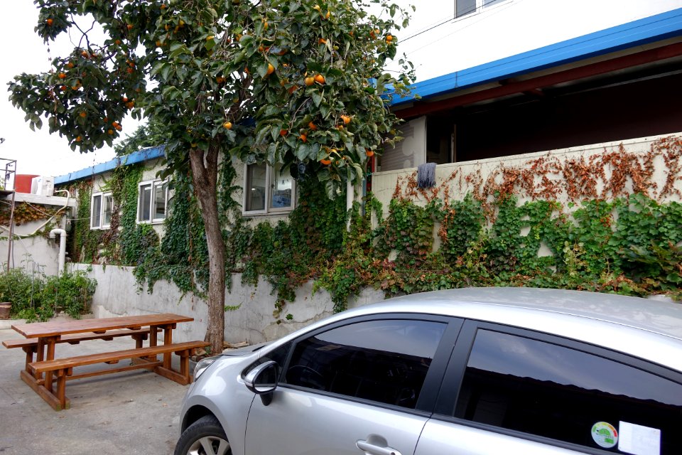 20151007 최광모 SONY DSC-RX10 DSC03749 20151024