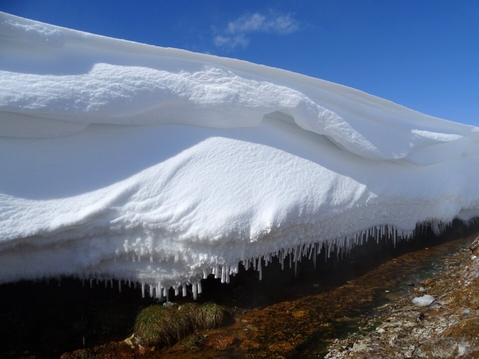 Winter pairs nalychevo valley