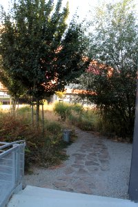 2013Masaryk University Campus20643
