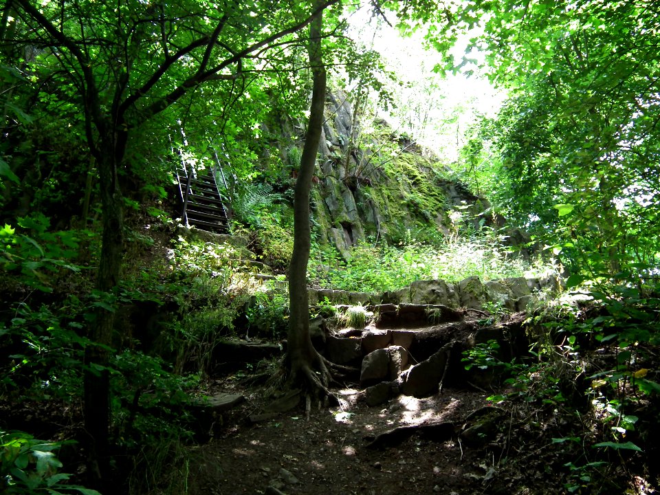 2020-07-18 Cottaer Spitzberg 08