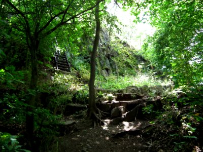 2020-07-18 Cottaer Spitzberg 08