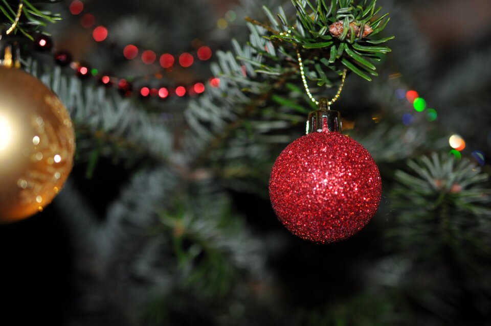 Tree decorations christmas ornaments christmas ornament